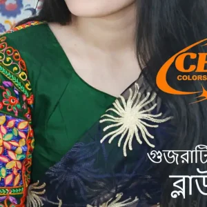 গুজরাটি কাতান (সবুজ)